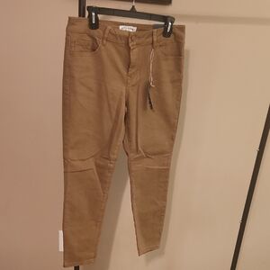 Artisan NY Brown Pants